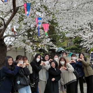留学生と花見